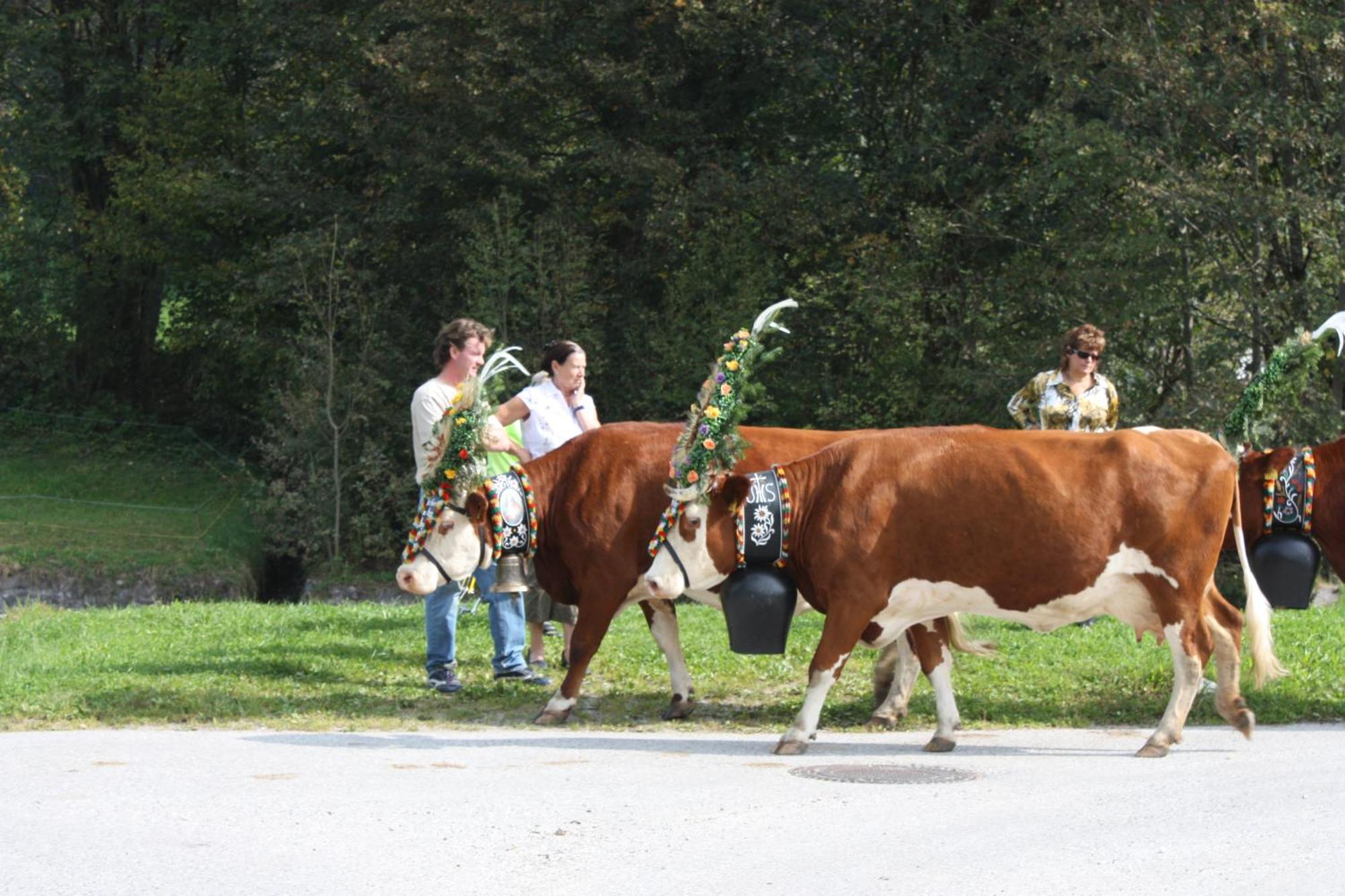 Ferienhof Kampfl Fügen Kültér fotó